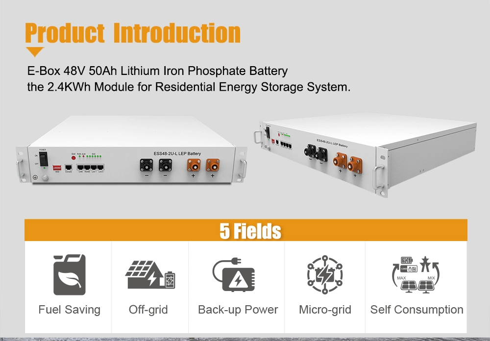 Pytes-4850 2.4kwh Bess Lithium Iron Battery with BMS for Home Solar Renewable Energy System UPS