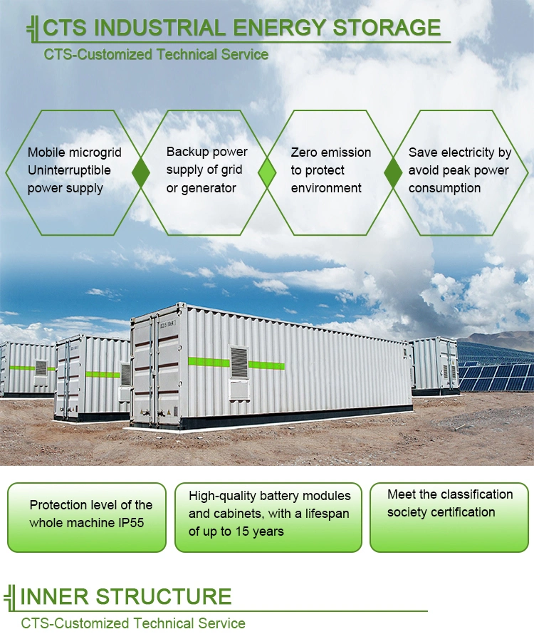 Customized LiFePO4 10FT 20FT 40FT Container 50kwh 100kwh 200kwh 500kwh 1mwh 2mwh Bess for Solar System, Energy Storage System, UPS